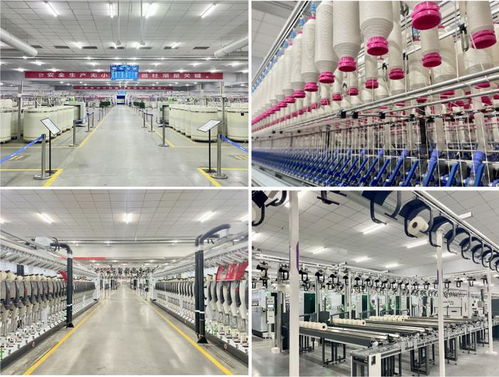 數(shù)智世界亮相2024年紡紗技術(shù)高峰論壇 分享新材料技術(shù)開發(fā)與智慧工廠實踐